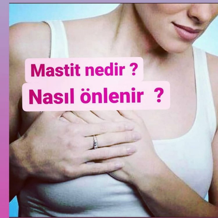 Mastit Nedir.? Nasıl Önlenir..?