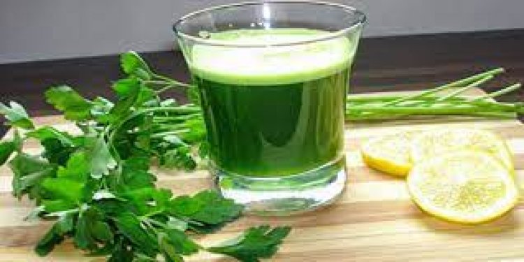 Yağ Yakan Maydanoz Limon Kürü