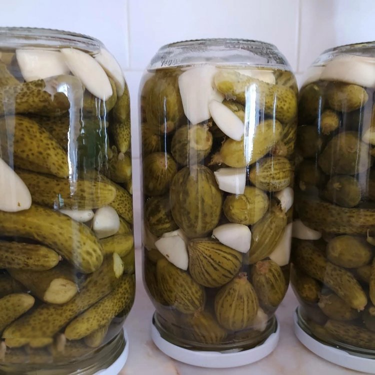 Sıcak Suyla Salatalık Turşusu Tarifi